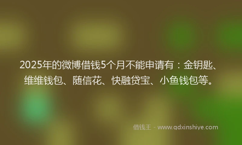 2025年的微博借钱5个月不能申请有：金钥匙、维维钱包、随信花、快融贷宝、小鱼钱包等。