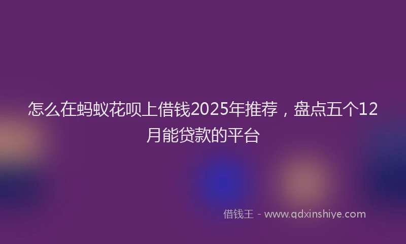 怎么在蚂蚁花呗上借钱2025年推荐，盘点五个12月能贷款的平台