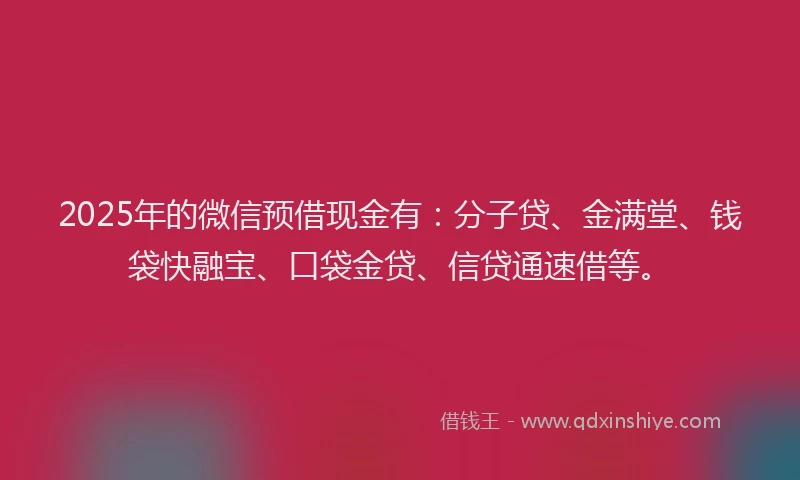 2025年的微信预借现金有：分子贷、金满堂、钱袋快融宝、口袋金贷、信贷通速借等。