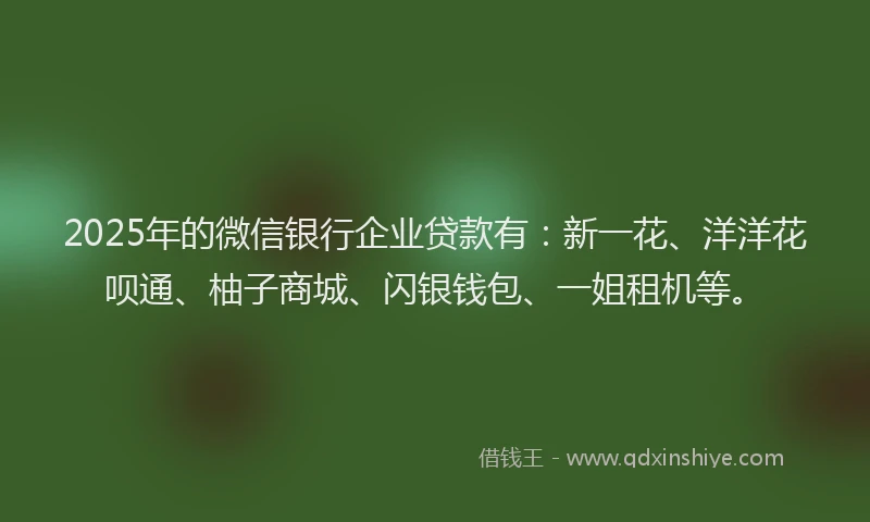 2025年的微信银行企业贷款有：新一花、洋洋花呗通、柚子商城、闪银钱包、一姐租机等。