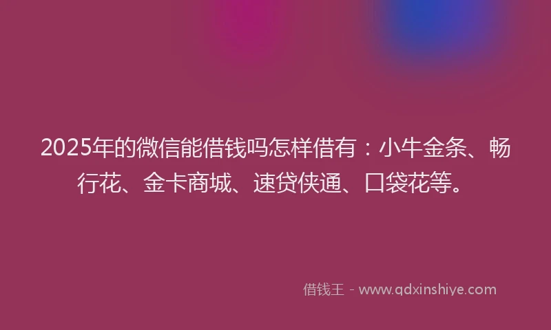 2025年的微信能借钱吗怎样借有：小牛金条、畅行花、金卡商城、速贷侠通、口袋花等。