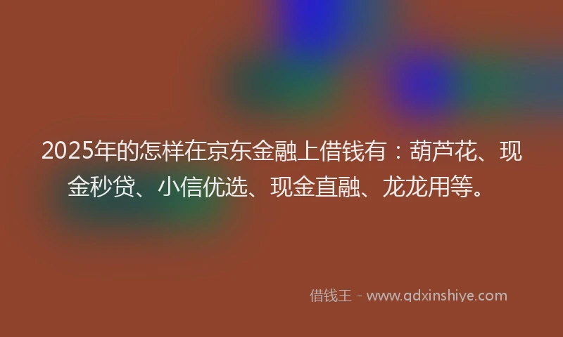 2025年的怎样在京东金融上借钱有：葫芦花、现金秒贷、小信优选、现金直融、龙龙用等。