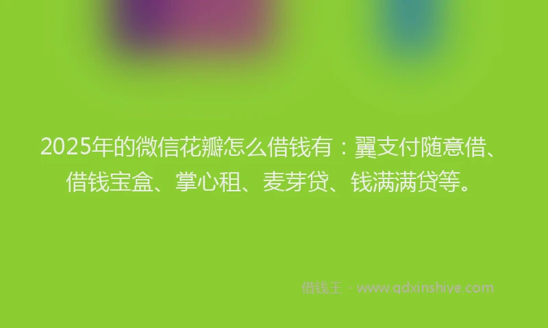 2025年的微信花瓣怎么借钱有：翼支付随意借、借钱宝盒、掌心租、麦芽贷、钱满满贷等。