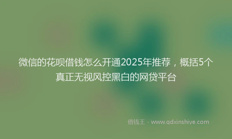 微信的花呗借钱怎么开通2025年推荐，概括5个真正无视风控黑白的网贷平台