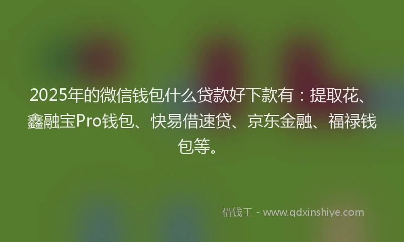 2025年的微信钱包什么贷款好下款有：提取花、鑫融宝Pro钱包、快易借速贷、京东金融、福禄钱包等。
