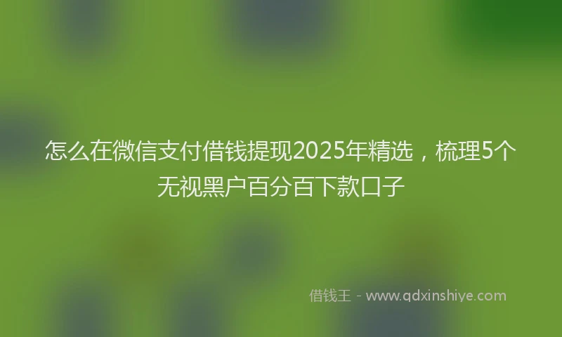 怎么在微信支付借钱提现2025年精选，梳理5个无视黑户百分百下款口子