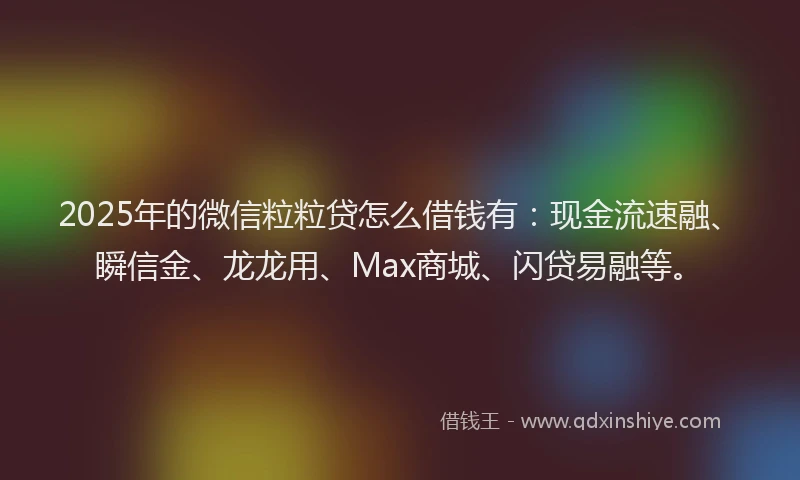 2025年的微信粒粒贷怎么借钱有：现金流速融、瞬信金、龙龙用、Max商城、闪贷易融等。