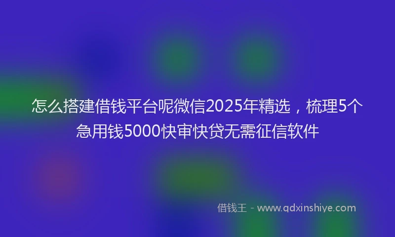 怎么搭建借钱平台呢微信2025年精选，梳理5个急用钱5000快审快贷无需征信软件