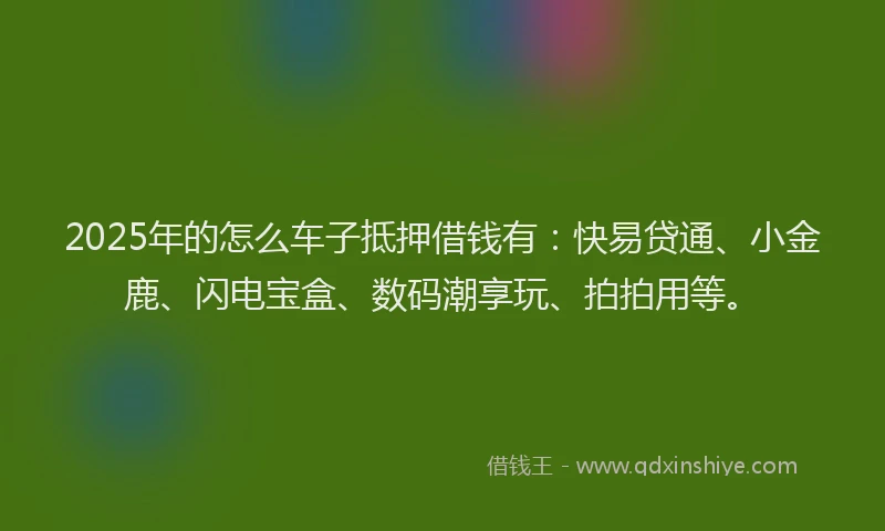 2025年的怎么车子抵押借钱有：快易贷通、小金鹿、闪电宝盒、数码潮享玩、拍拍用等。