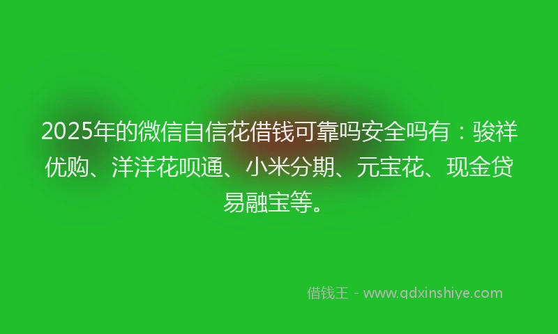 2025年的微信自信花借钱可靠吗安全吗有：骏祥优购、洋洋花呗通、小米分期、元宝花、现金贷易融宝等。
