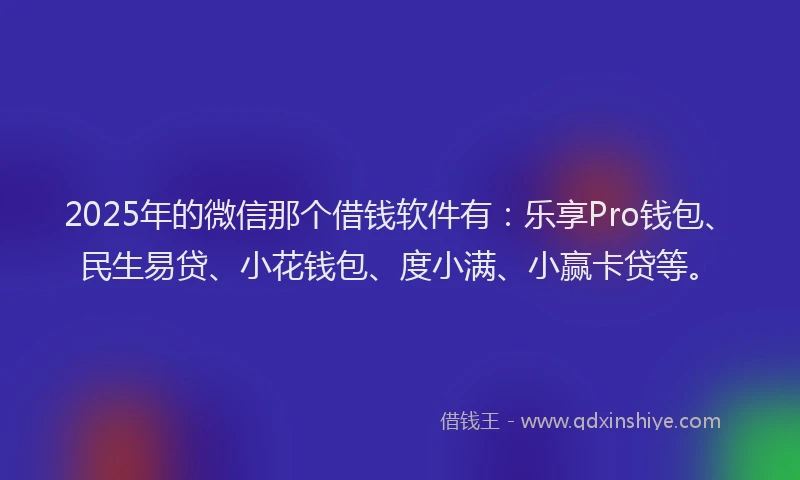 2025年的微信那个借钱软件有：乐享Pro钱包、民生易贷、小花钱包、度小满、小赢卡贷等。