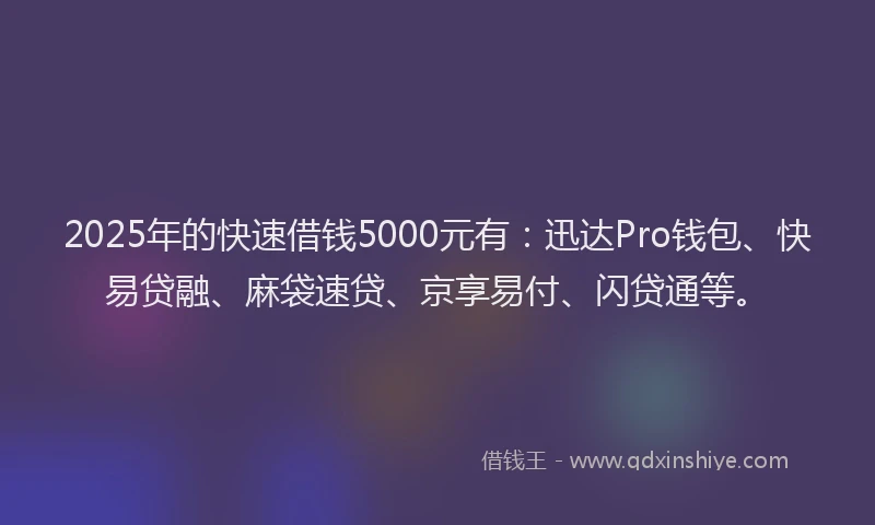 2025年的快速借钱5000元有：迅达Pro钱包、快易贷融、麻袋速贷、京享易付、闪贷通等。