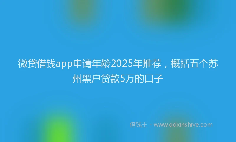 微贷借钱app申请年龄2025年推荐，概括五个苏州黑户贷款5万的口子