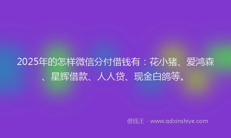 2025年的怎样微信分付借钱有：花小猪、爱鸿森、星辉借款、人人贷、现金白鸽等。