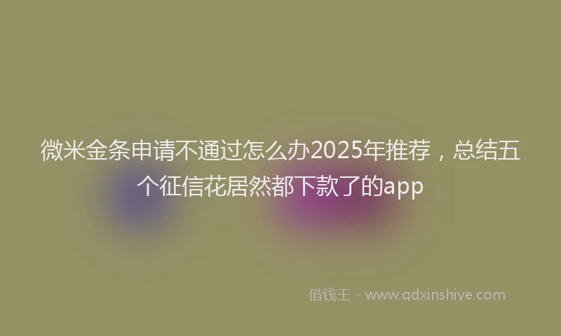 微米金条申请不通过怎么办2025年推荐，总结五个征信花居然都下款了的app