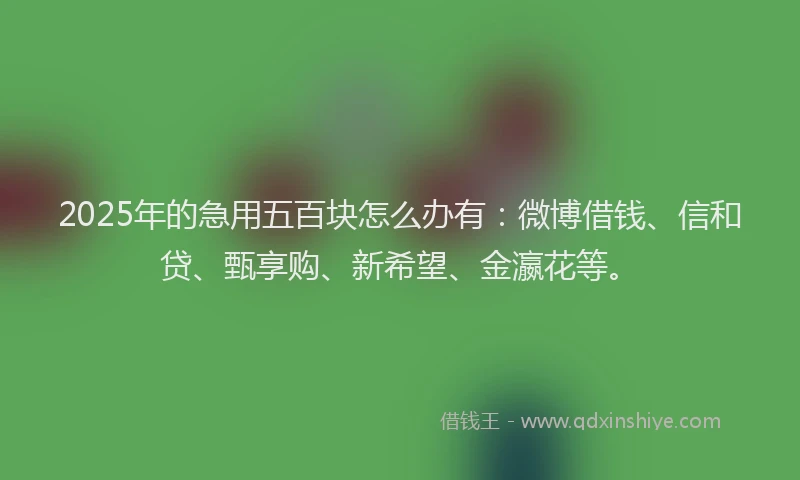 2025年的急用五百块怎么办有：微博借钱、信和贷、甄享购、新希望、金瀛花等。