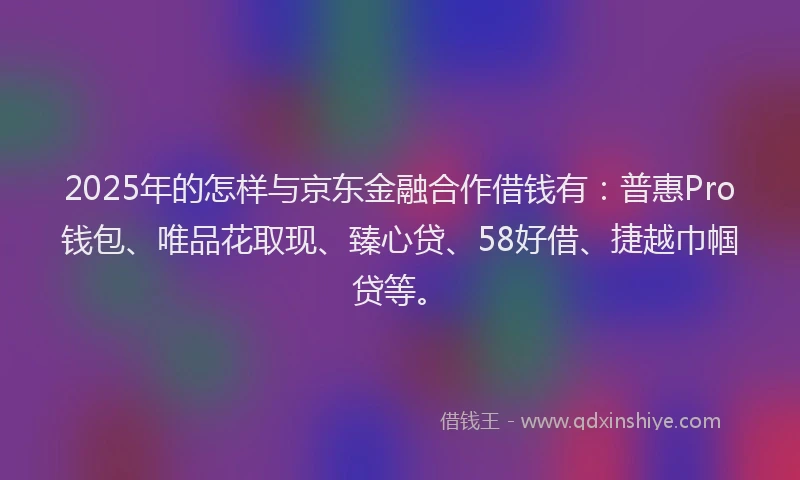 2025年的怎样与京东金融合作借钱有：普惠Pro钱包、唯品花取现、臻心贷、58好借、捷越巾帼贷等。