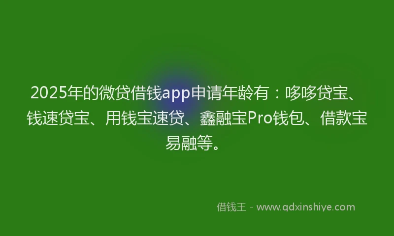 2025年的微贷借钱app申请年龄有：哆哆贷宝、钱速贷宝、用钱宝速贷、鑫融宝Pro钱包、借款宝易融等。
