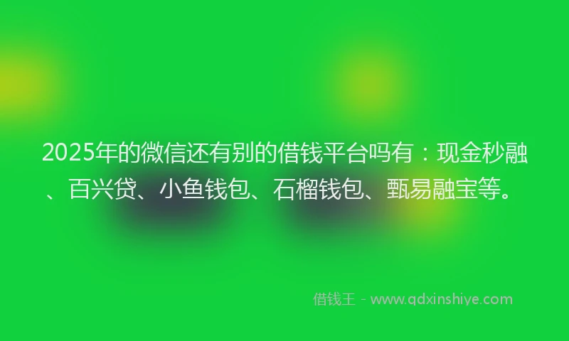 2025年的微信还有别的借钱平台吗有：现金秒融、百兴贷、小鱼钱包、石榴钱包、甄易融宝等。