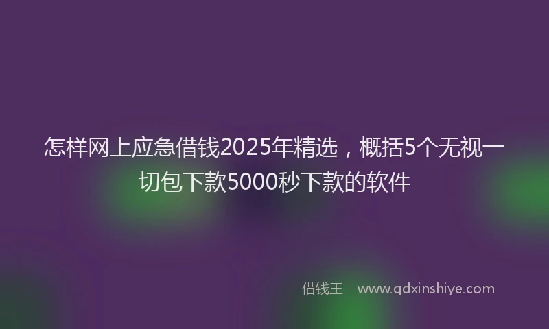 怎样网上应急借钱2025年精选，概括5个无视一切包下款5000秒下款的软件