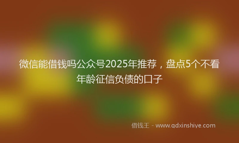 微信能借钱吗公众号2025年推荐，盘点5个不看年龄征信负债的口子