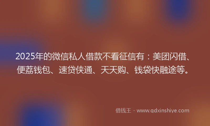 2025年的微信私人借款不看征信有：美团闪借、便荔钱包、速贷侠通、天天购、钱袋快融途等。