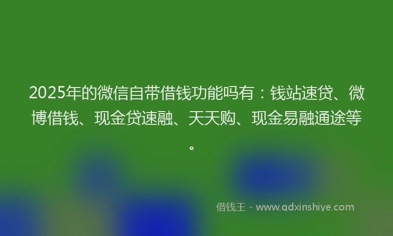 2025年的微信自带借钱功能吗有：钱站速贷、微博借钱、现金贷速融、天天购、现金易融通途等。