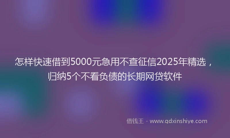 怎样快速借到5000元急用不查征信2025年精选，归纳5个不看负债的长期网贷软件