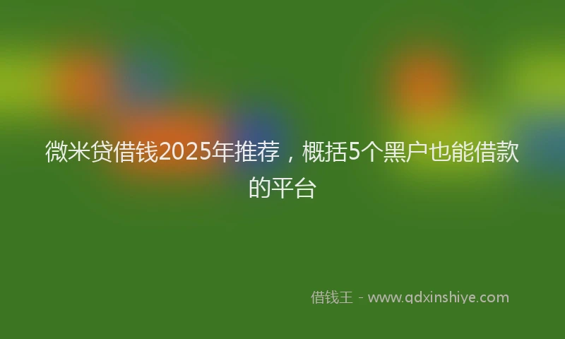 微米贷借钱2025年推荐，概括5个黑户也能借款的平台