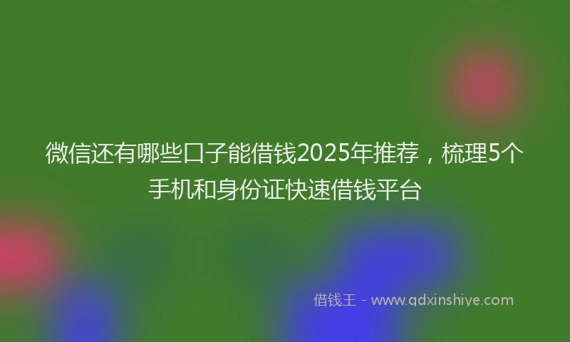 微信还有哪些口子能借钱2025年推荐，梳理5个手机和身份证快速借钱平台