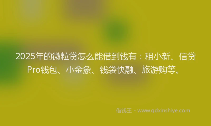 2025年的微粒贷怎么能借到钱有：租小新、信贷Pro钱包、小金象、钱袋快融、旅游购等。
