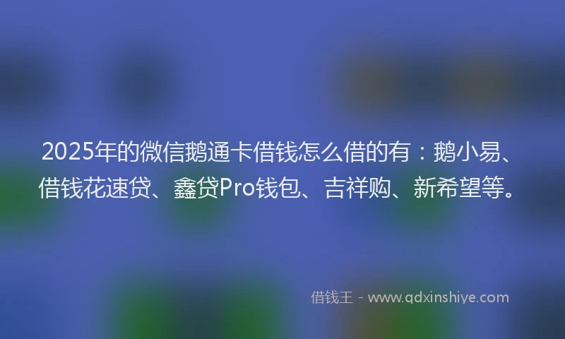 2025年的微信鹅通卡借钱怎么借的有：鹅小易、借钱花速贷、鑫贷Pro钱包、吉祥购、新希望等。