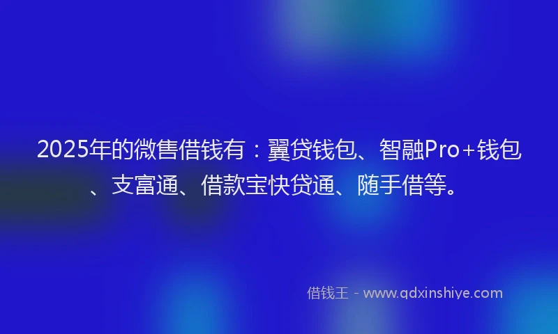 2025年的微售借钱有：翼贷钱包、智融Pro+钱包、支富通、借款宝快贷通、随手借等。