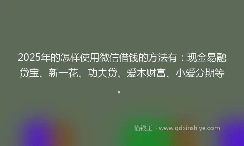 2025年的怎样使用微信借钱的方法有：现金易融贷宝、新一花、功夫贷、爱木财富、小爱分期等。