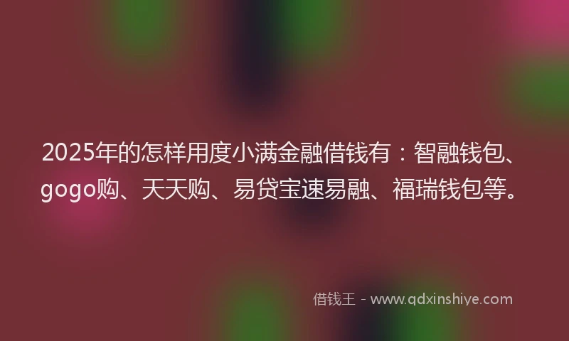 2025年的怎样用度小满金融借钱有：智融钱包、gogo购、天天购、易贷宝速易融、福瑞钱包等。