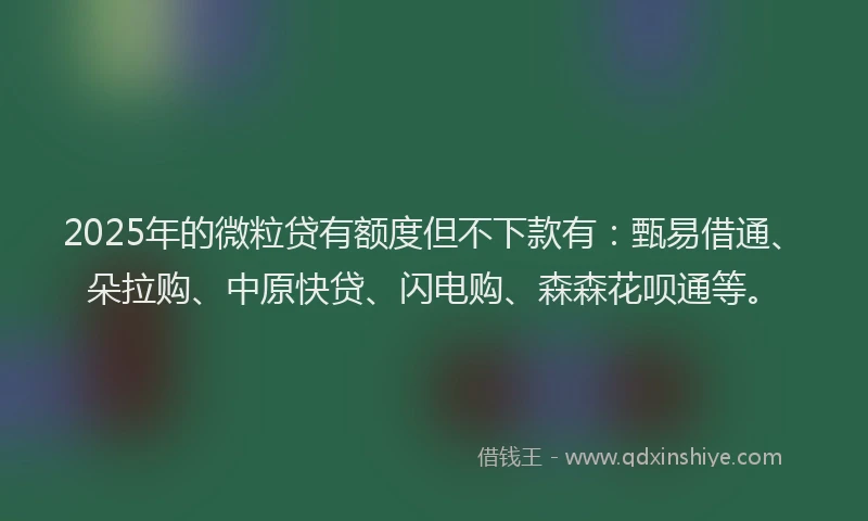 2025年的微粒贷有额度但不下款有：甄易借通、朵拉购、中原快贷、闪电购、森森花呗通等。