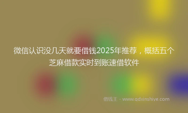 微信认识没几天就要借钱2025年推荐，概括五个芝麻借款实时到账速借软件