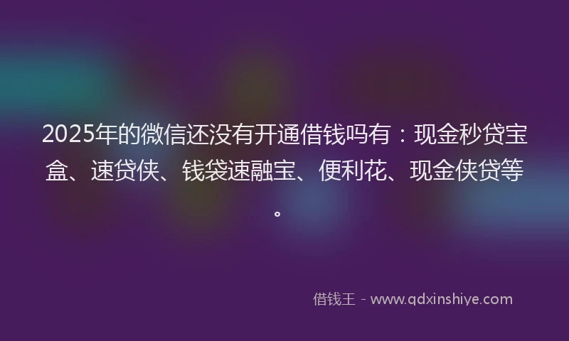 2025年的微信还没有开通借钱吗有：现金秒贷宝盒、速贷侠、钱袋速融宝、便利花、现金侠贷等。