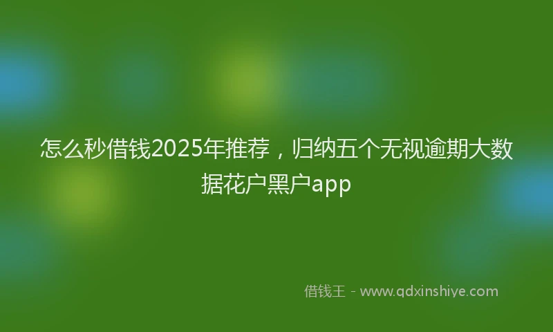 怎么秒借钱2025年推荐，归纳五个无视逾期大数据花户黑户app