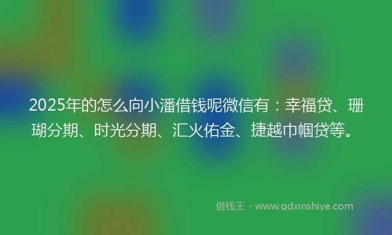 2025年的怎么向小潘借钱呢微信有：幸福贷、珊瑚分期、时光分期、汇火佑金、捷越巾帼贷等。