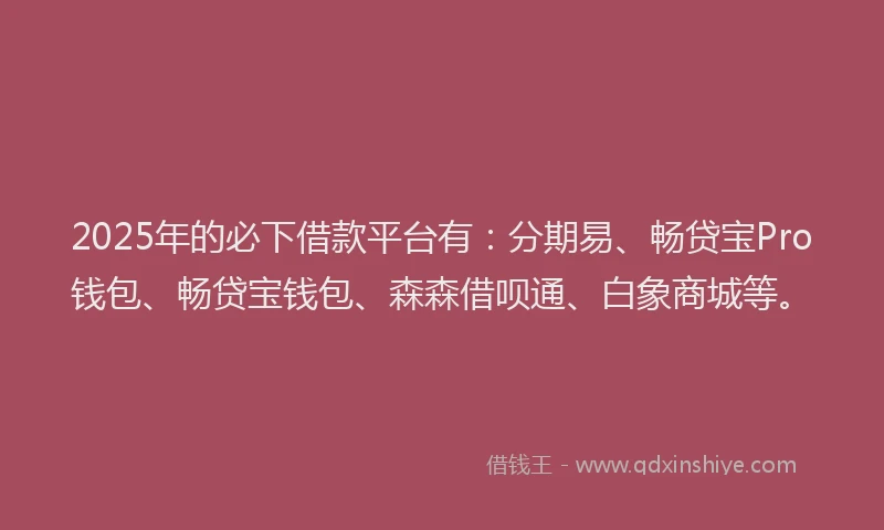 2025年的必下借款平台有：分期易、畅贷宝Pro钱包、畅贷宝钱包、森森借呗通、白象商城等。