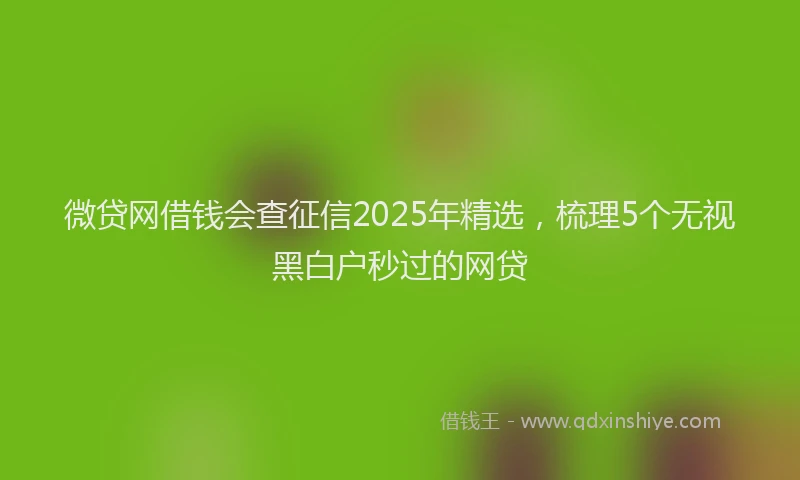 微贷网借钱会查征信2025年精选，梳理5个无视黑白户秒过的网贷