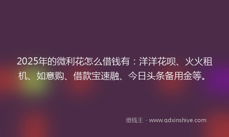2025年的微利花怎么借钱有：洋洋花呗、火火租机、如意购、借款宝速融、今日头条备用金等。
