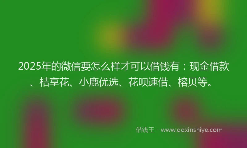2025年的微信要怎么样才可以借钱有：现金借款、桔享花、小鹿优选、花呗速借、榕贝等。