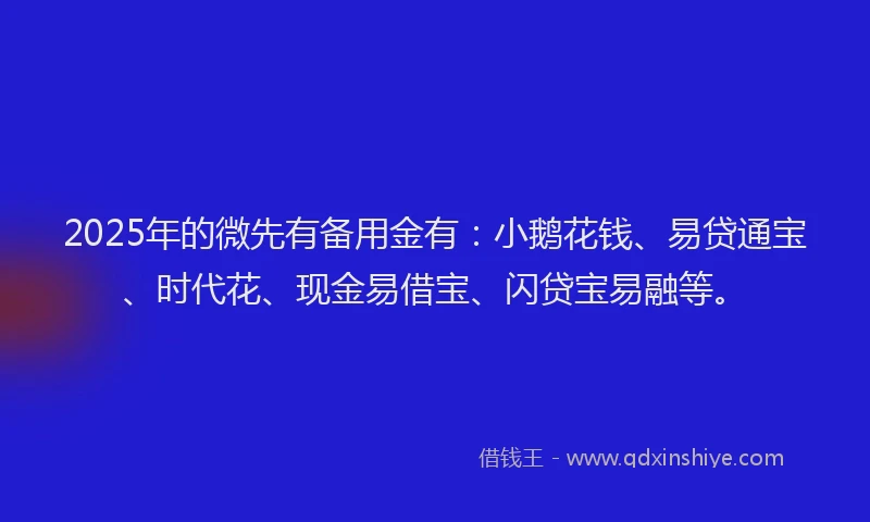 2025年的微先有备用金有：小鹅花钱、易贷通宝、时代花、现金易借宝、闪贷宝易融等。