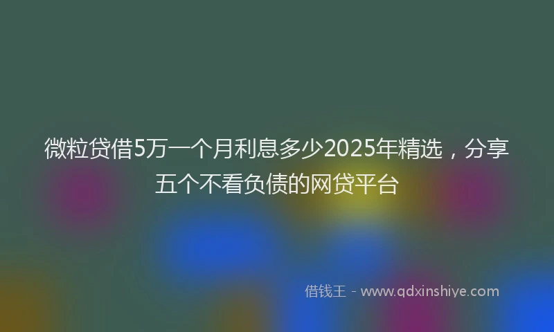 微粒贷借5万一个月利息多少2025年精选，分享五个不看负债的网贷平台