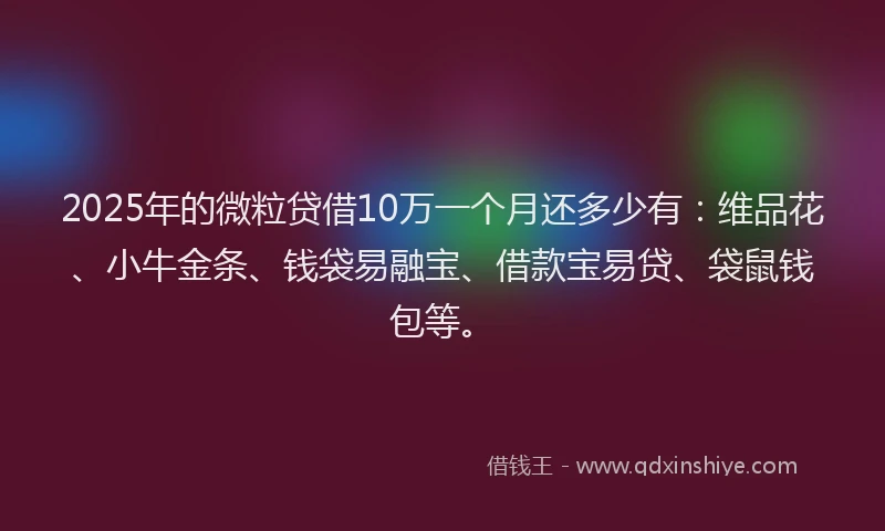 2025年的微粒贷借10万一个月还多少有：维品花、小牛金条、钱袋易融宝、借款宝易贷、袋鼠钱包等。