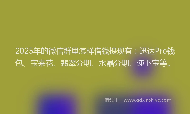 2025年的微信群里怎样借钱提现有：迅达Pro钱包、宝来花、翡翠分期、水晶分期、速下宝等。