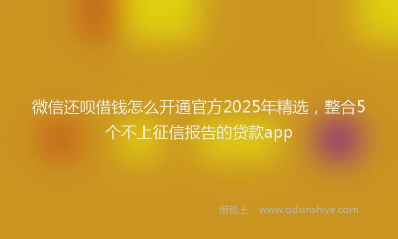 微信还呗借钱怎么开通官方2025年精选，整合5个不上征信报告的贷款app