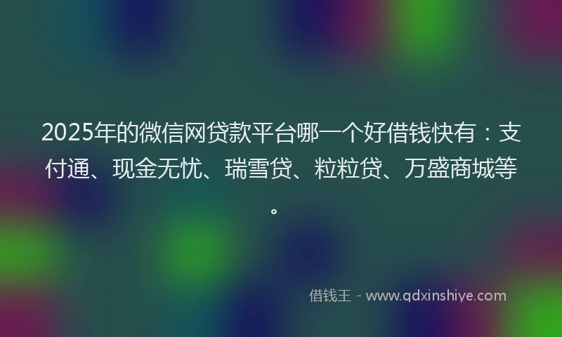 2025年的微信网贷款平台哪一个好借钱快有：支付通、现金无忧、瑞雪贷、粒粒贷、万盛商城等。